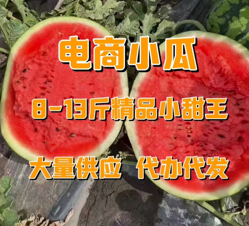 河北西瓜上市了，本人手里大量有货，价格便宜性价比高，联系