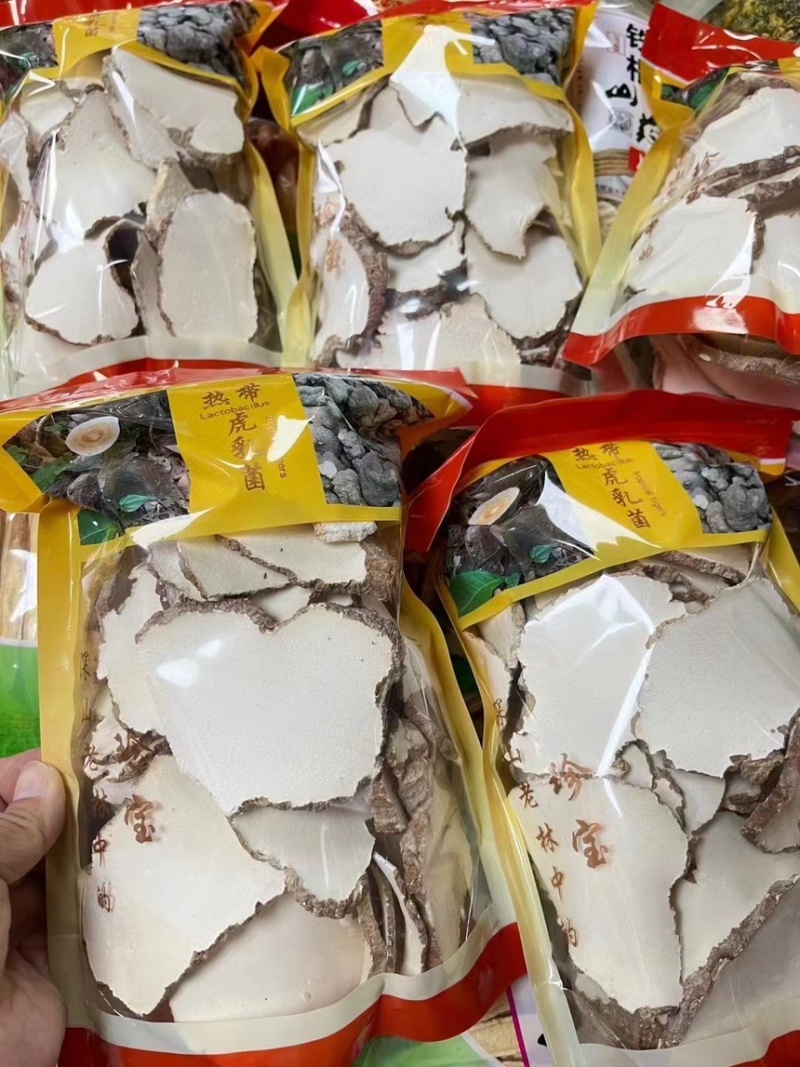 大片白皮虎乳菌，一手货源，欢迎订购