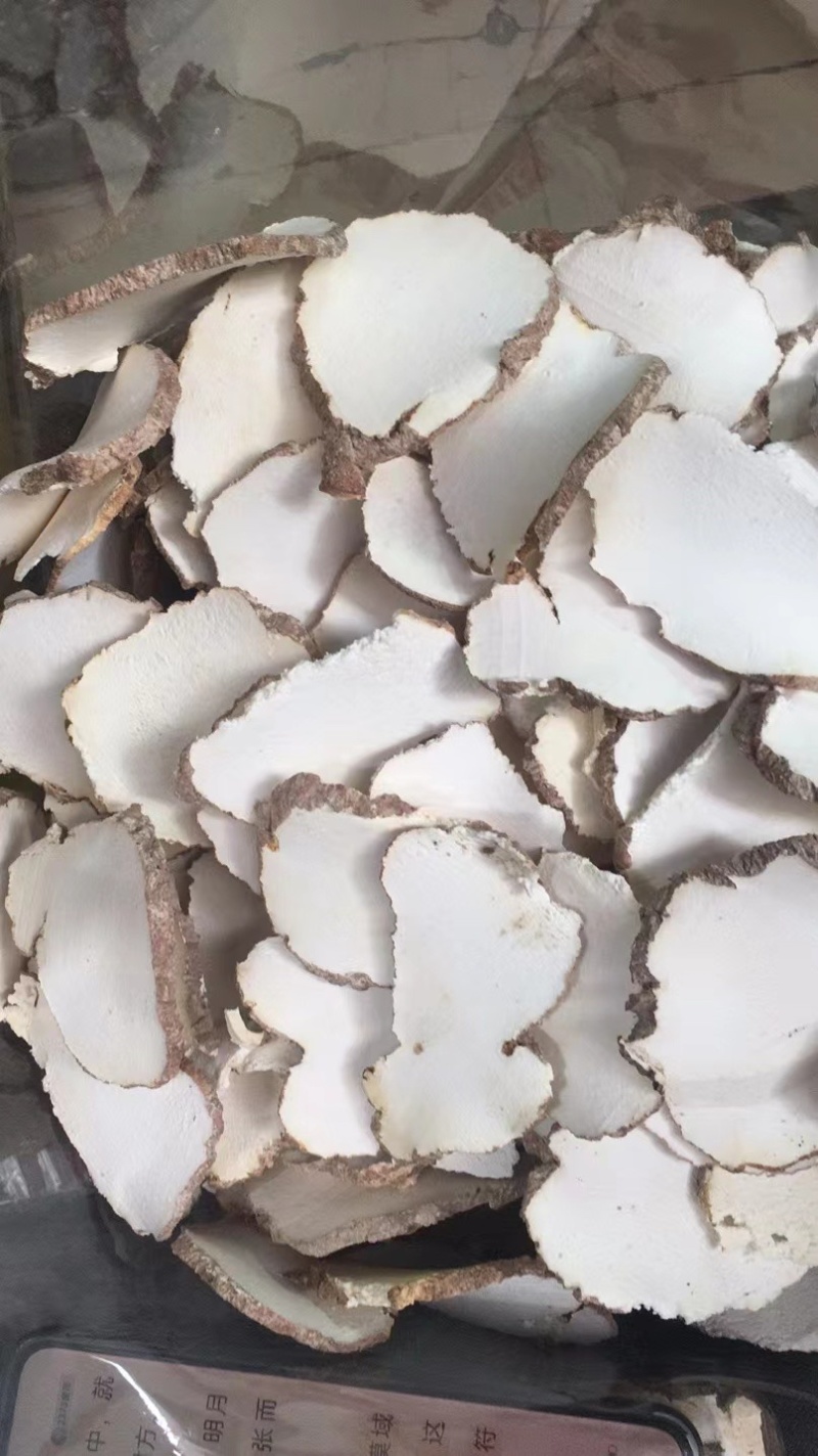 大片白皮虎乳菌，一手货源，欢迎订购
