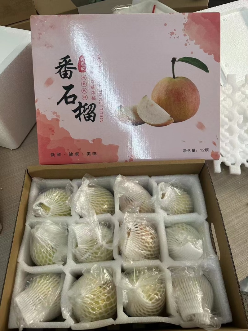 【精品番石榴】广东湛江基地直发质量保证一手货源欢迎订购