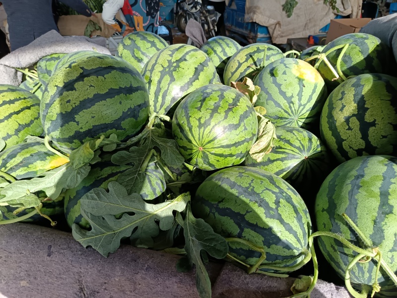 【实力】砀山精品甜王西瓜，大量上市，货源充足品质保证