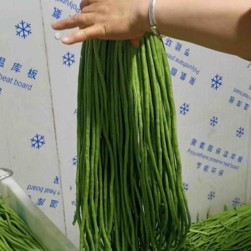 长豆角