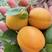 【热销中】金太阳杏大量上市口感甜蜜杏一手货源产地