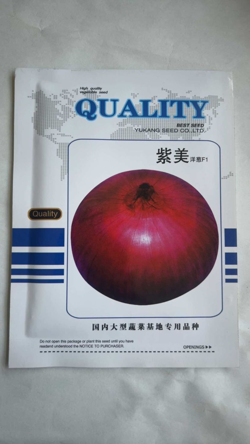 日本进口蔬菜基地大田圆葱头紫宝冠玉葱球葱紫皮洋葱种子10