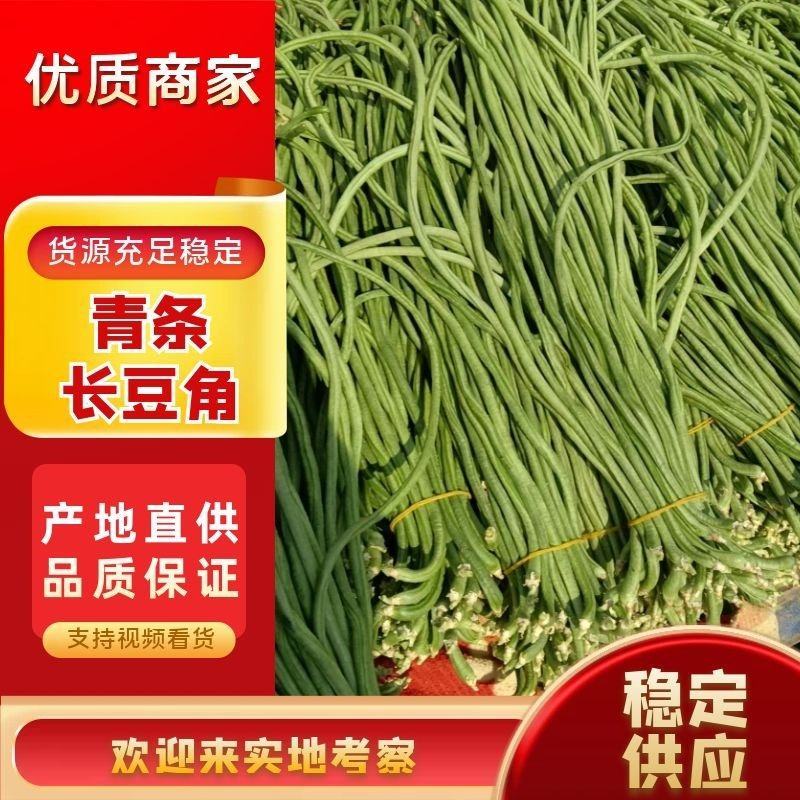 精品长豆角，河北邯郸产地直发！青条豆角量大从优价格美丽