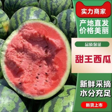 大棚甜王大量上市自家瓜一手货源保质欢迎大家前来采购