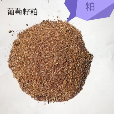 葡萄籽粕：蛋白13，适用牛羊猪禽料价格便宜。