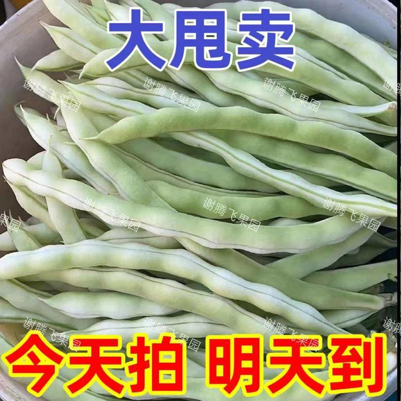 陕西汉中洋县本地四季豆肉，四季豆白，四季豆