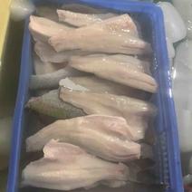 鱼柳加工供应各种规格黑鱼柳黑鱼片鲈鱼柳，巴沙柳罗非柳