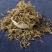 垂盆草今年新货各种规格中药材批发零售垂盆草实物拍摄品质保