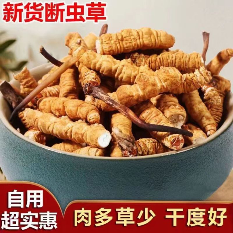 冬虫夏草大断草纯肉体批发零售，西藏那曲冬虫夏草批发