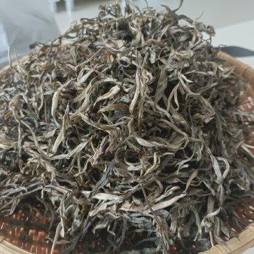 普耳茶(晒青)