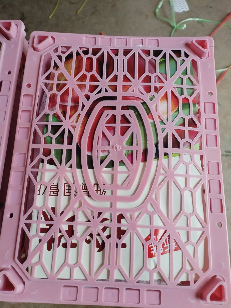 云南珍珠枣蜜桃