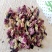 中药材芙蓉花干芙蓉花芙蓉花朵一斤包邮