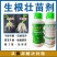 神农弹新型植物生根诱导素,生根壮苗养根护根改善重茬提升产量