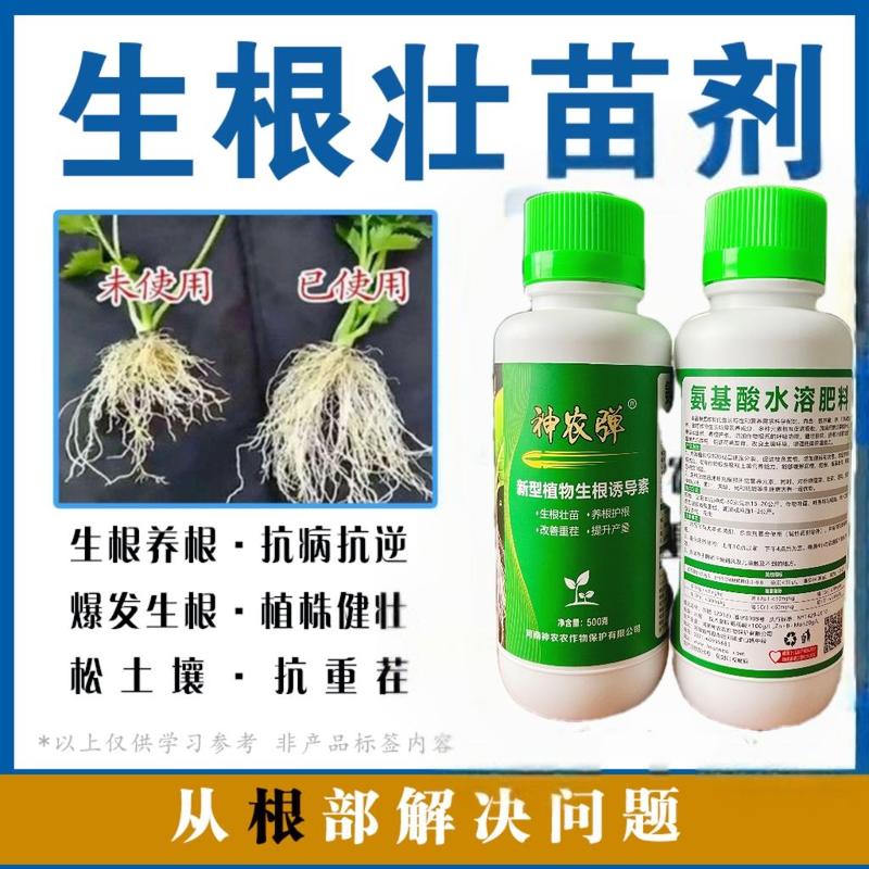 神农弹新型植物生根诱导素，生根壮苗养根护根改善重茬提升产量