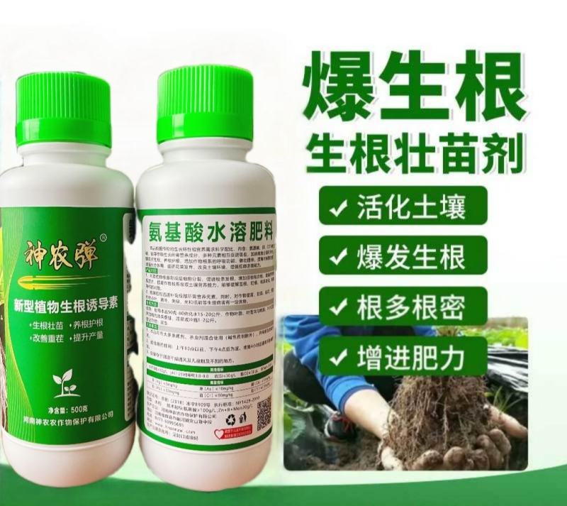 神农弹新型植物生根诱导素，生根壮苗养根护根改善重茬提升产量