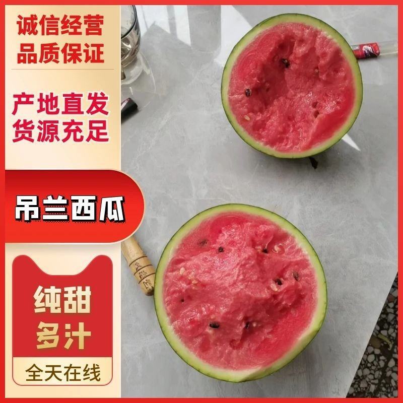 陕西蒲城吊兰西瓜，938品种规格齐全，头茬瓜产地现货现发