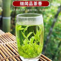 【今年新茶】精品安吉白茶规格齐全自家种植全国发货