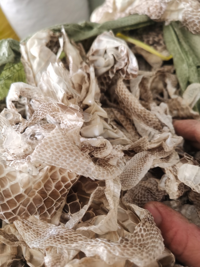 蛇蜕龙衣干净无沙新货颜色好批发零售各种规格中药