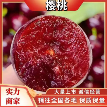 实力精品一件代发山东大樱桃抖音快手淘宝拼多多对接