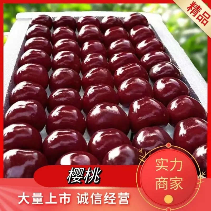 实力精品一件代发山东大樱桃抖音快手淘宝拼多多对接