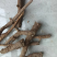 精品柴胡鲜货干货都有长期供应欢迎有需要的老板咨询