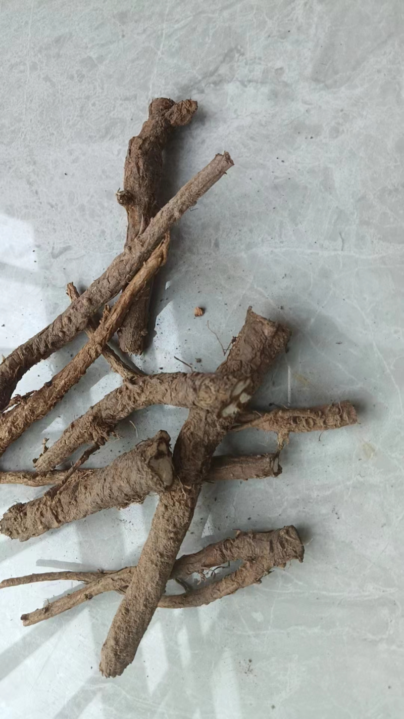 精品柴胡鲜货干货都有长期供应欢迎有需要的老板咨询