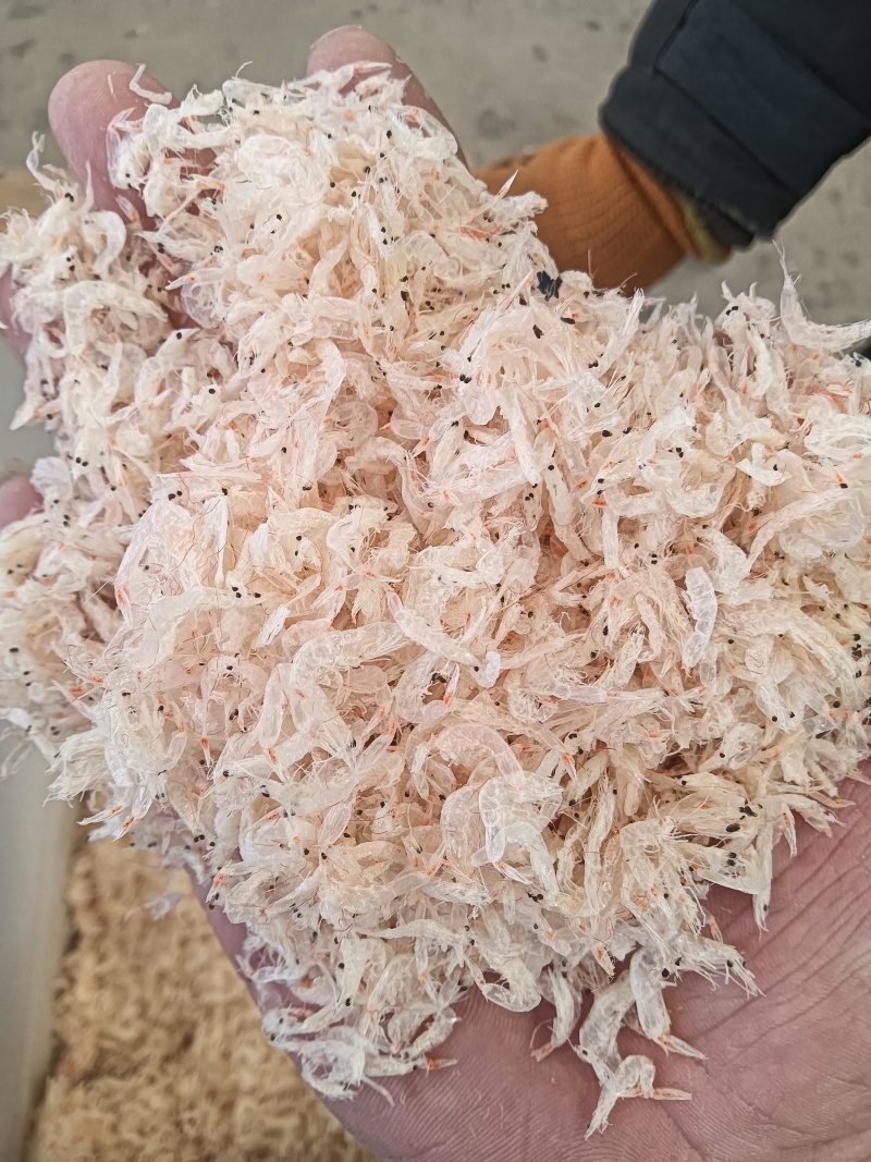 淡干虾皮！小板货！电商爆款！