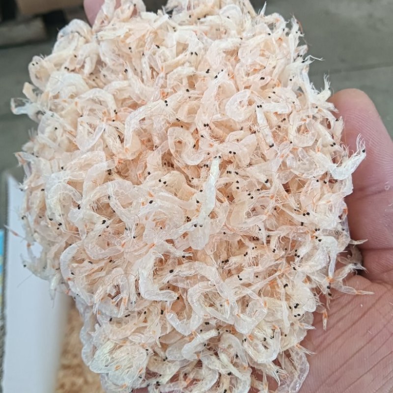 淡干虾皮！小板货！电商爆款！