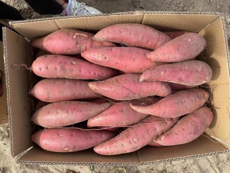 【推荐】西瓜红红薯批发一件代发对接市场电商欢迎致电