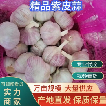 河南睢阳区大蒜，优质品种，各类规格，对接电商超市