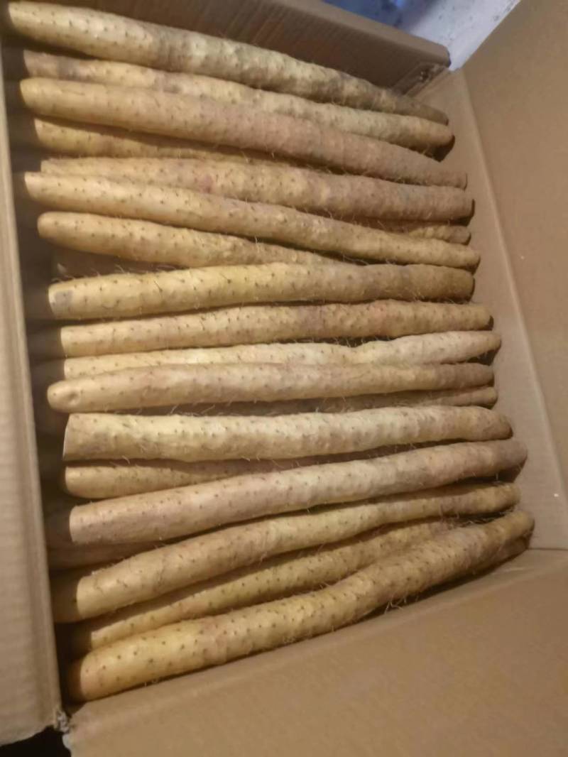 小白嘴山药，铁杆山药，网袋，去皮真空，超市电商产地直供！