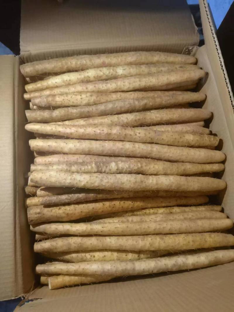小白嘴山药，铁杆山药，网袋，去皮真空，超市电商产地直供！