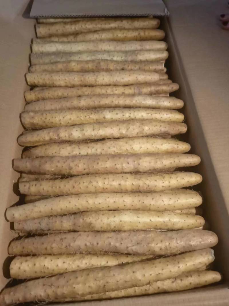 小白嘴山药，铁杆山药，网袋，去皮真空，超市电商产地直供！