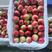 脆甜珍珠枣密桃大量上市实力供货对接出口商超市场