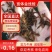 水蛭苗（蚂蝗）全国包邮100%包活。送肥水产品。技术指导