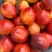 中油系列红肉白肉大量有货对接全国批发和电商出口