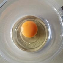 精品土鸡蛋大午金凤新杨黑土鸡蛋基地直发保新鲜蛋黄金黄色