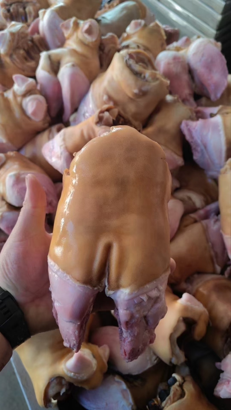 火烧牛蹄