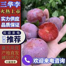 ［强烈推荐］广西贺州精品三华李，可对接电商果，市场果。