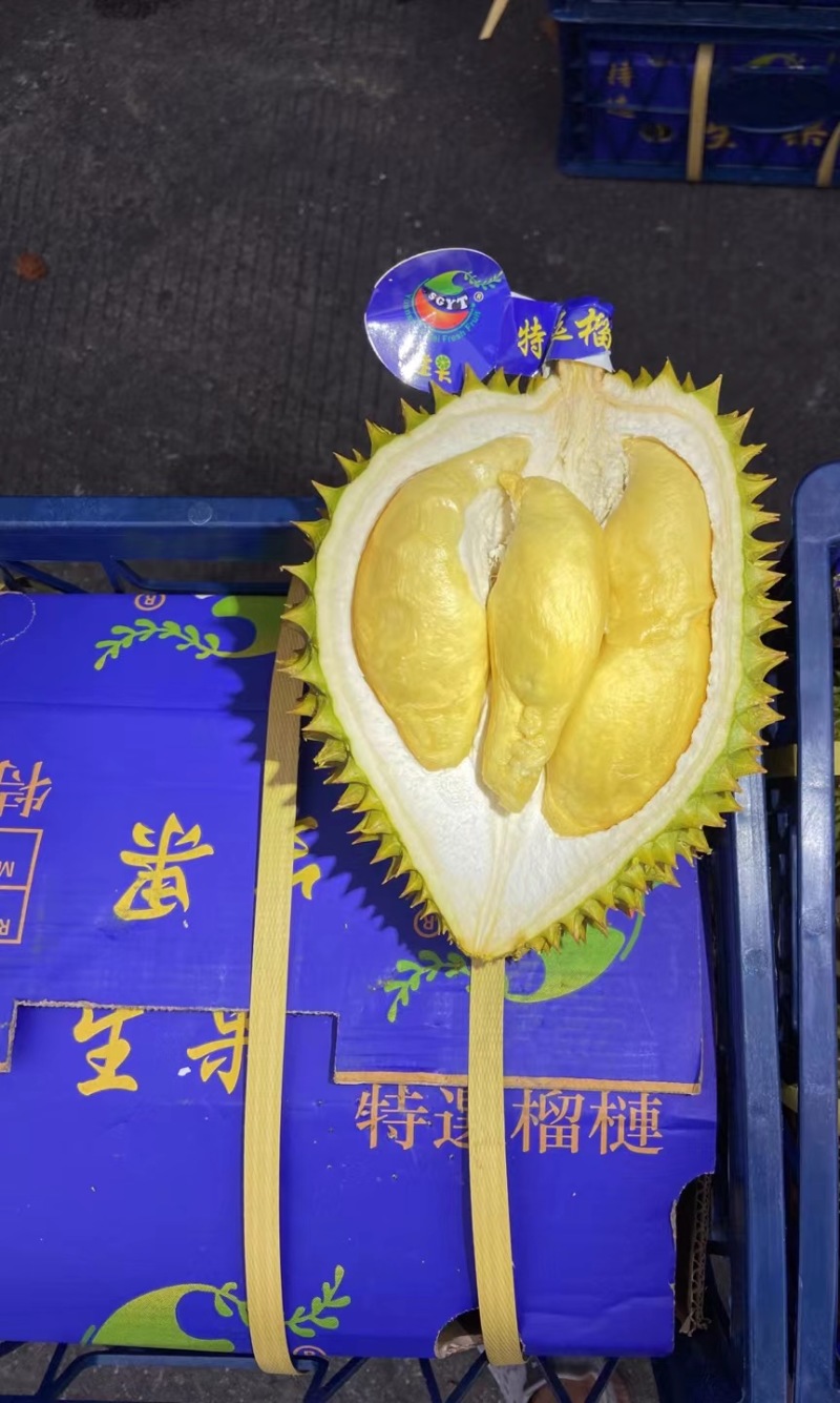 越南当季干尧榴莲，金枕口感