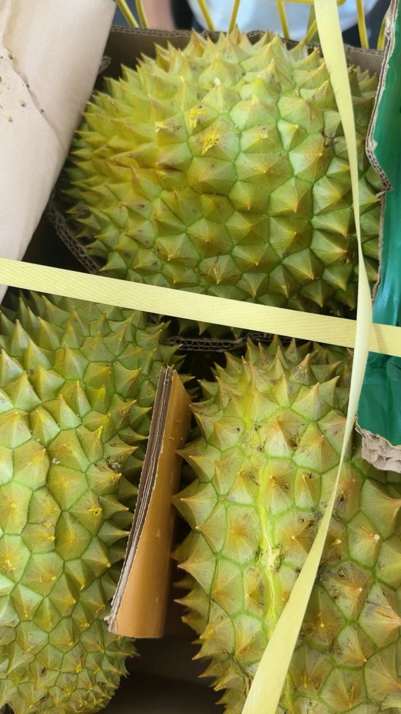 越南当季干尧榴莲，金枕口感