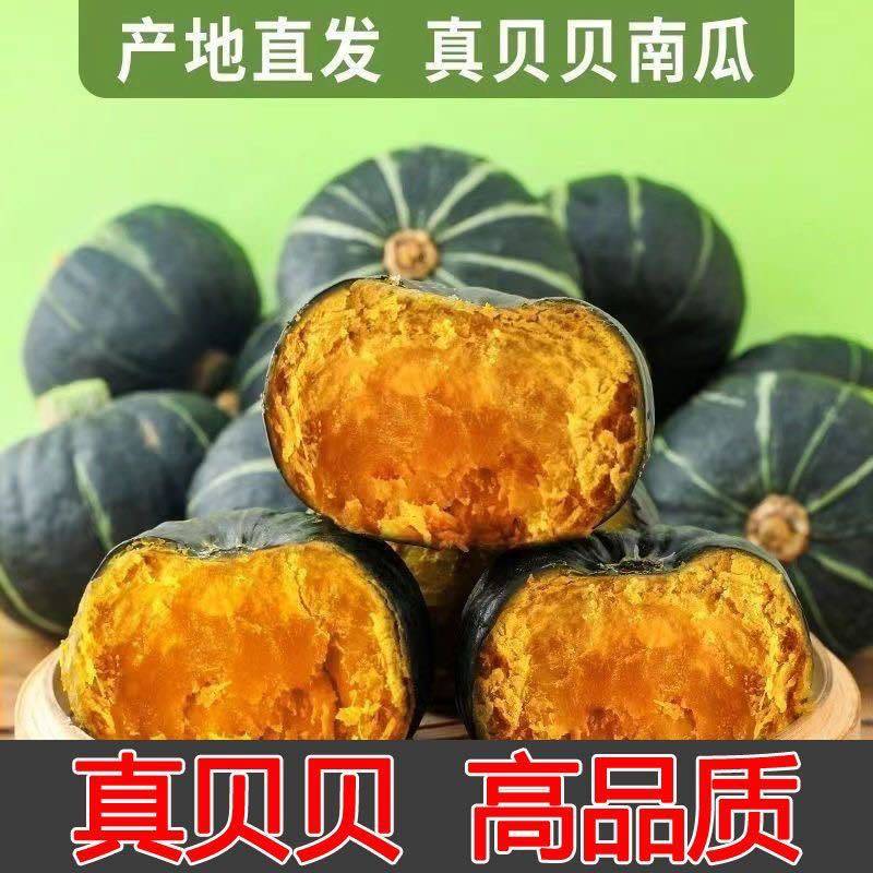 陕西贝贝南瓜产地直发品质保证对接商超市场电商等