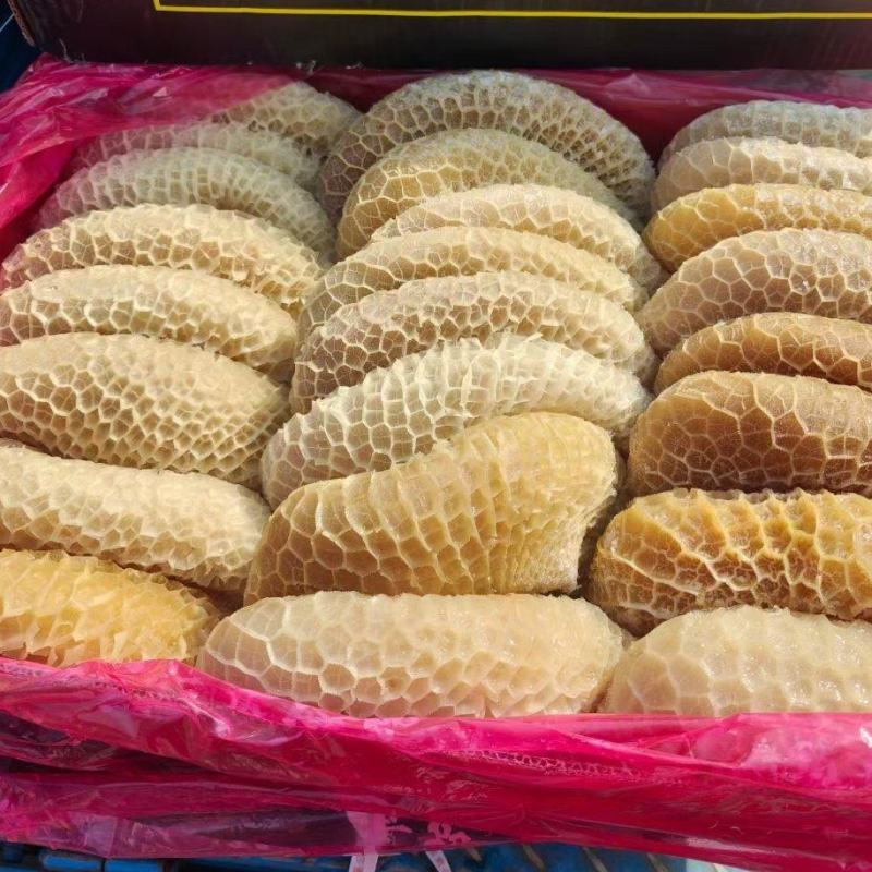 优质金钱肚