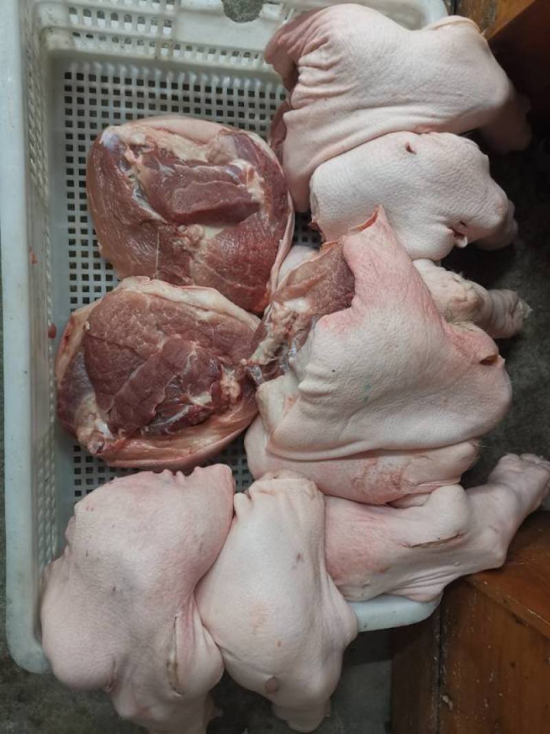 白条冷链欢迎咨询1号肉2号肉3号肉4号肉欢迎咨询