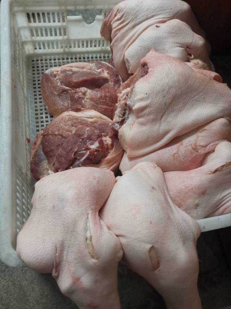 白条冷链欢迎咨询1号肉2号肉3号肉4号肉欢迎咨询