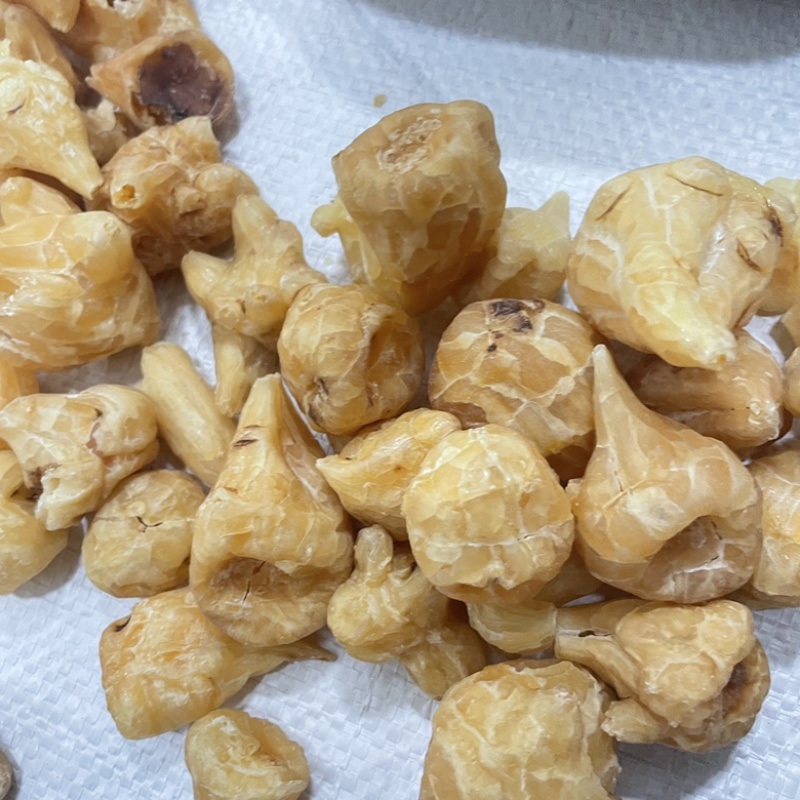 炮天雄生附正宗四川江油保真保量