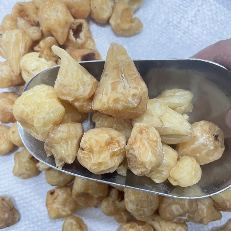 炮天雄生附正宗四川江油保真保量