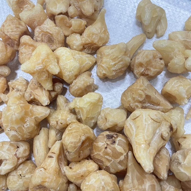 炮天雄生附正宗四川江油保真保量